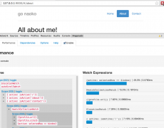 Debugging Tools for javascript libraries